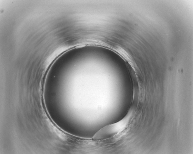 X0000088891438200706221829