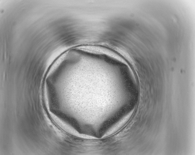 X0000088891440200706221829