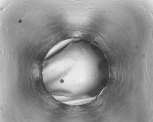 X0000088891442200706221828