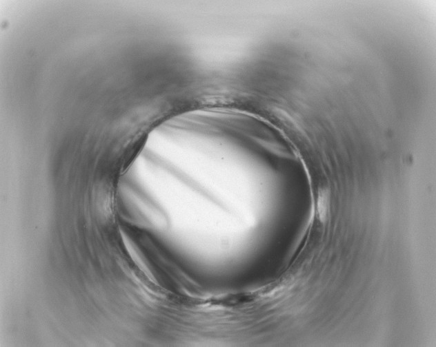 X0000088891444200706221828