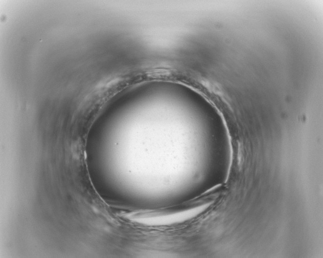 X0000088891445200706221828