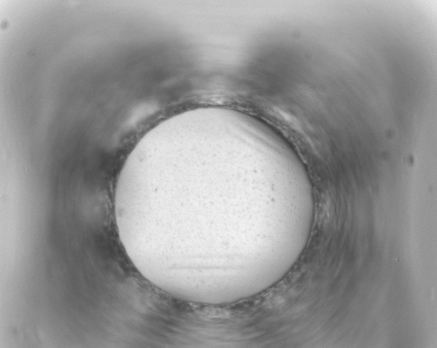 X0000088891446200706221828