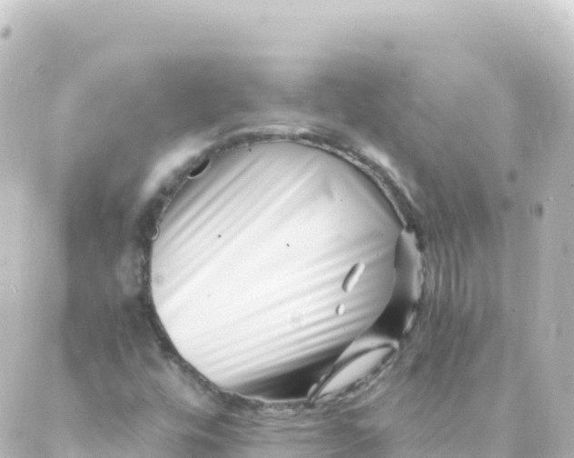 X0000088891448200706221828