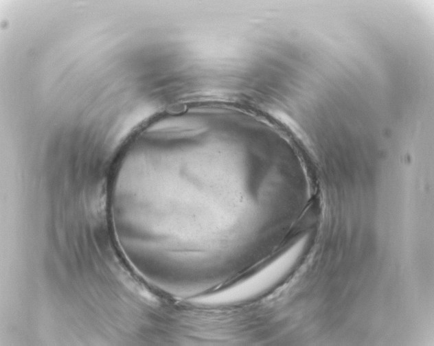 X0000088891450200706221828