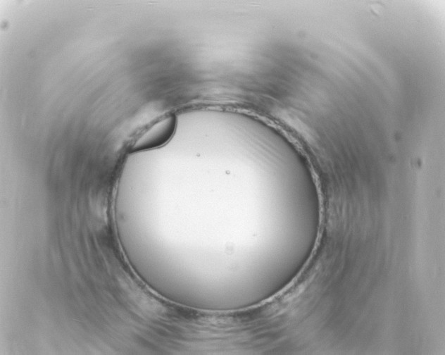 X0000088891451200706221828