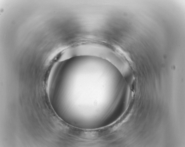 X0000088891453200706221828