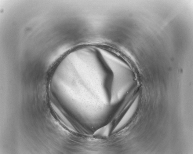 X0000088891456200706221828