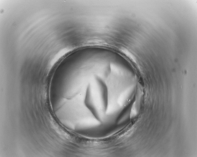 X0000088891458200706221828