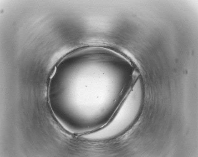 X0000088891461200706221828