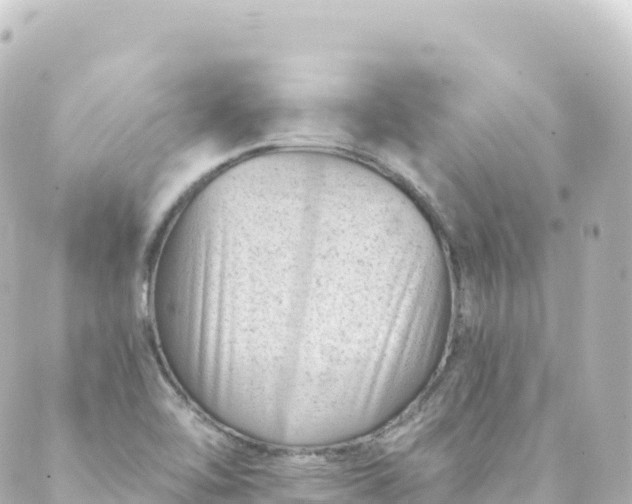 X0000088891462200706221828