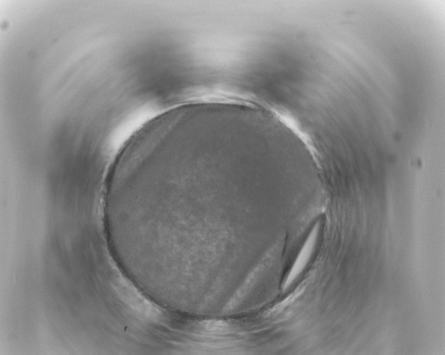 X0000088891463200706221828