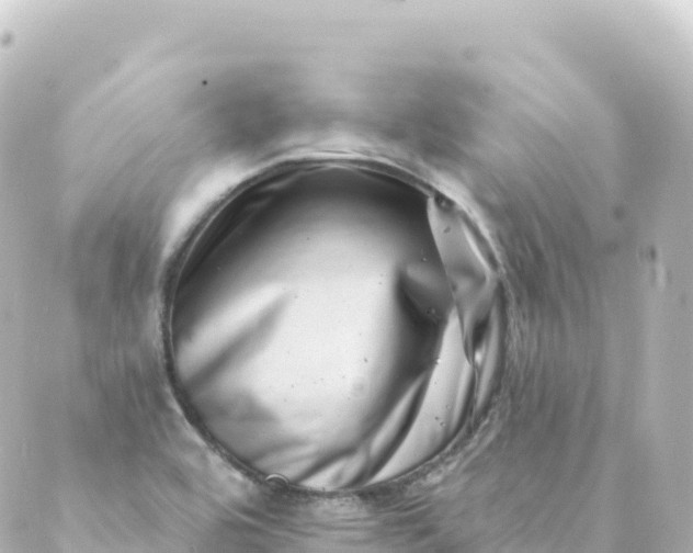 X0000088891464200706221828