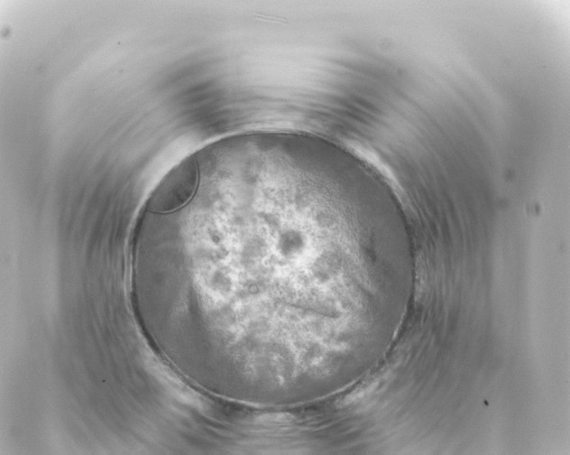 X0000088891467200706221828