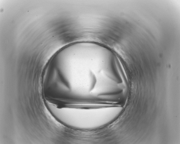 X0000088891468200706221828