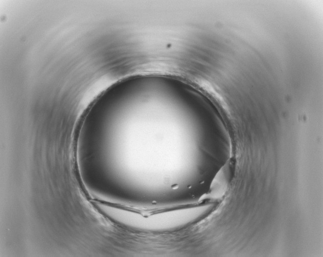 X0000088891469200706221828