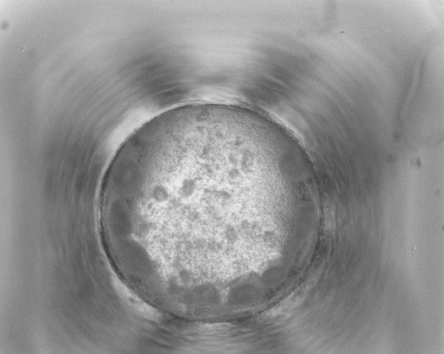 X0000088891471200706221828