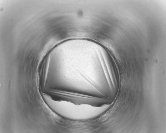 X0000088891472200706221828