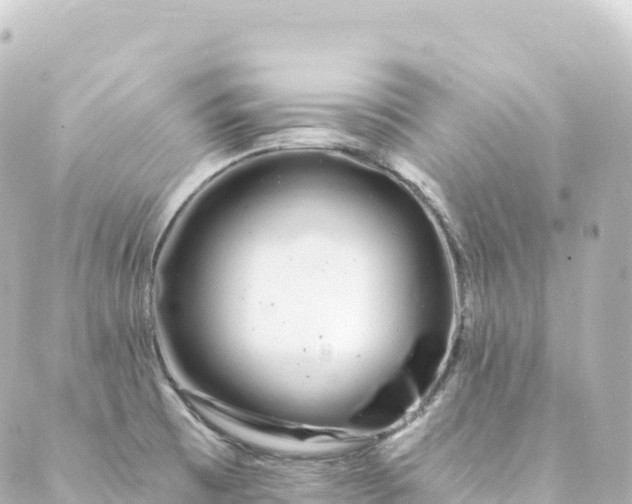 X0000088891473200706221828