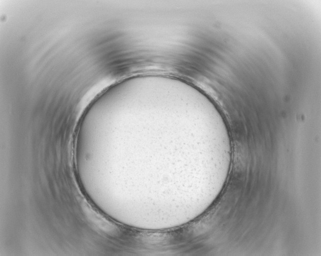 X0000088891474200706221827