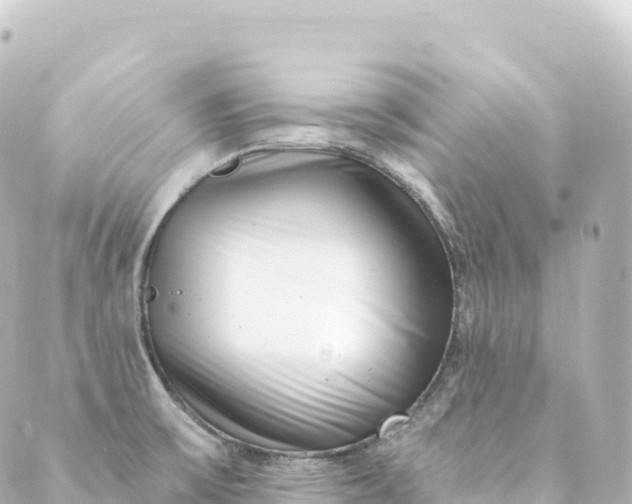 X0000088891475200706221827