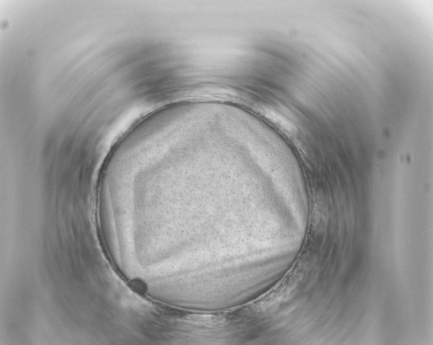 X0000088891478200706221827