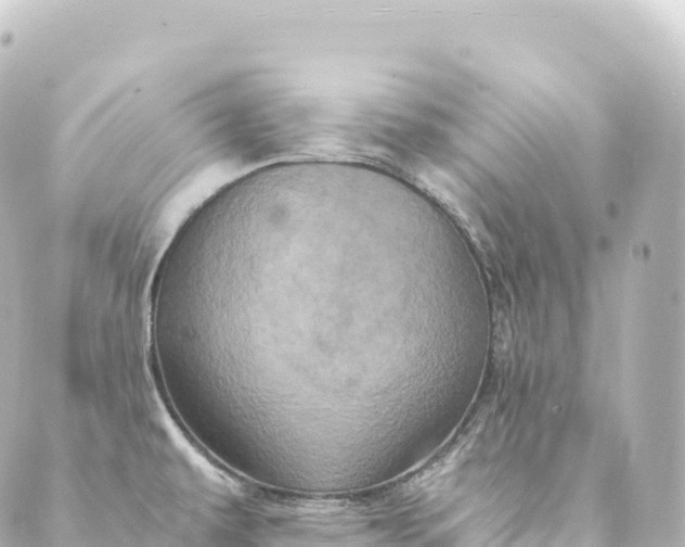 X0000088891479200706221827