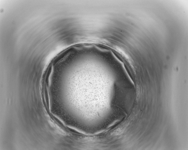 X0000088891480200706221827