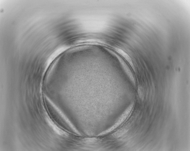 X0000088891482200706221827