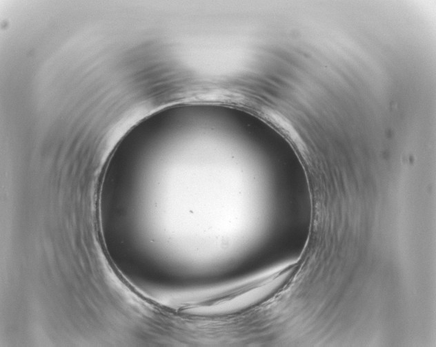 X0000088891483200706221827