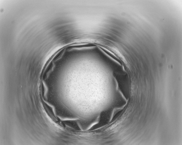 X0000088891484200706221827