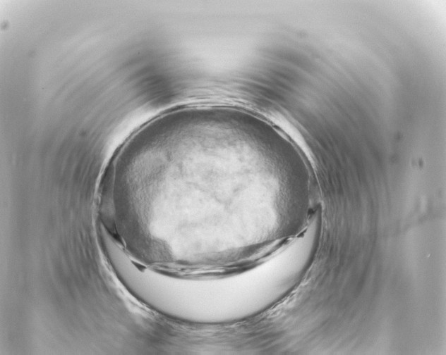 X0000088891485200706221827