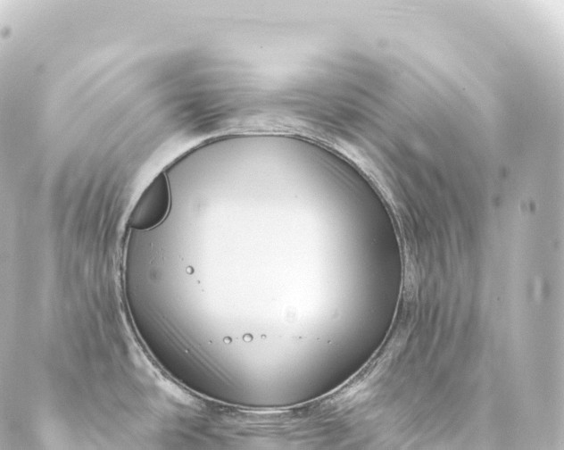 X0000088891486200706221827