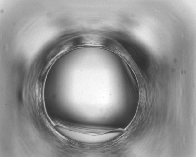 X0000088891487200706221827