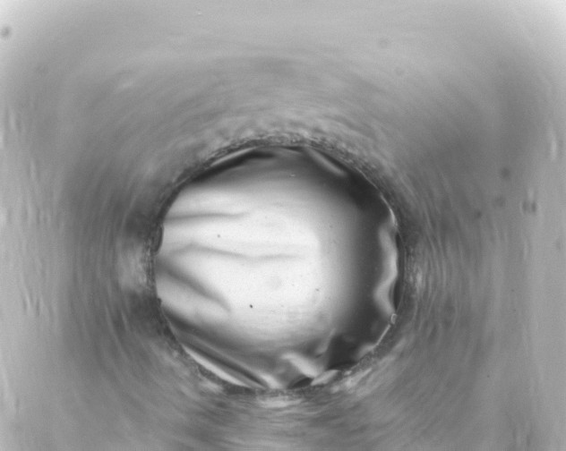 X0000088891490200706221827