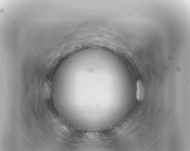 X0000088891491200706221827