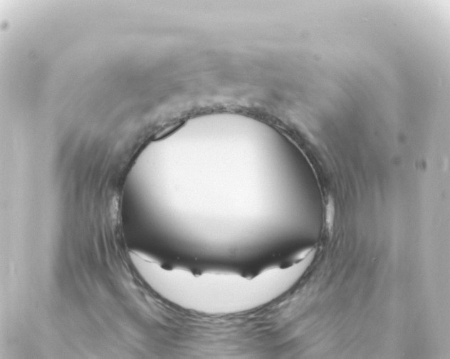 X0000088891492200706221827