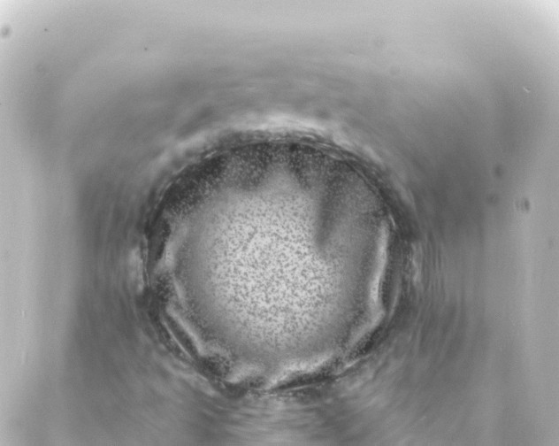 X0000088891493200706221827