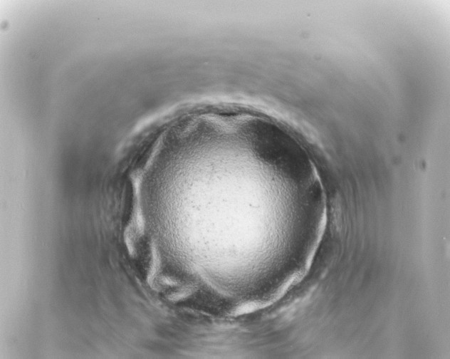 X0000088891494200706221827