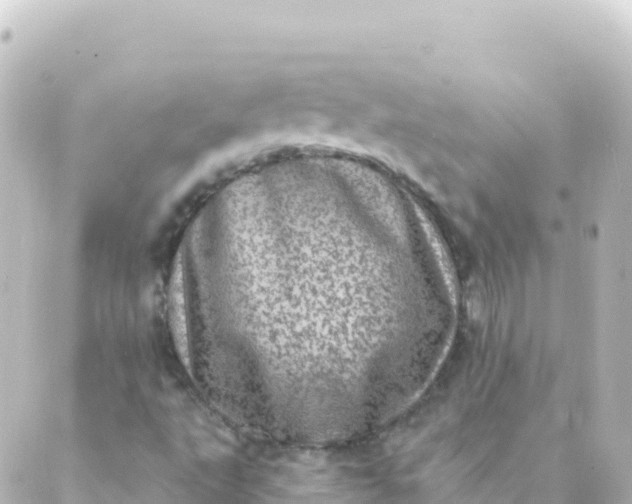 X0000088891495200706221827