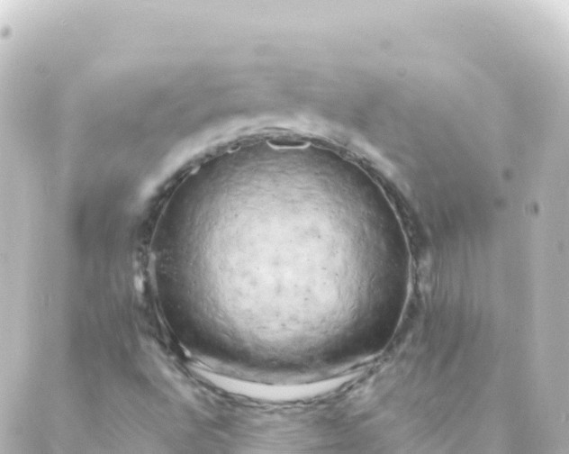 X0000088891496200706221827