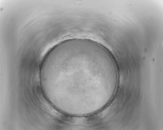 X0000088891498200706221827