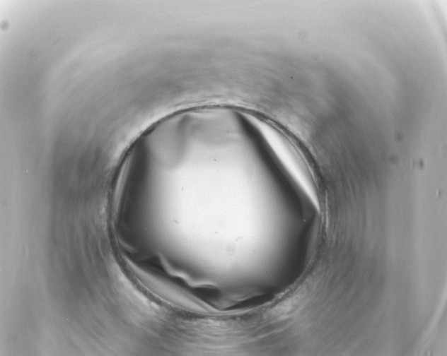 X0000088891500200706221827