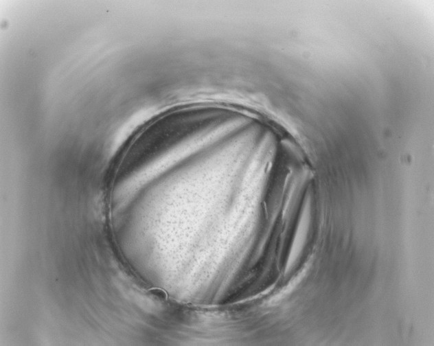 X0000088891501200706221827