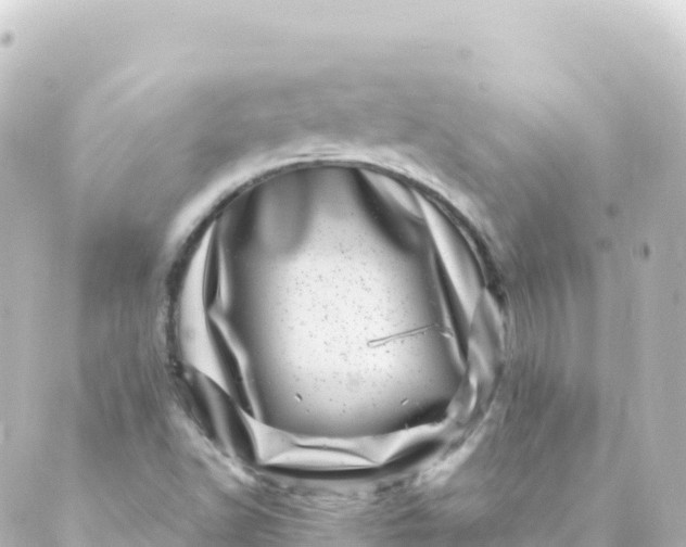 X0000088891502200706221827