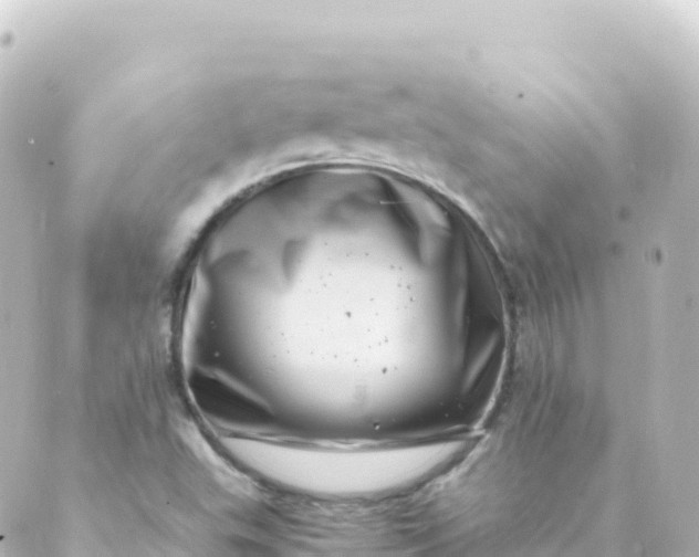 X0000088891503200706221827