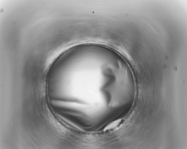 X0000088891504200706221827