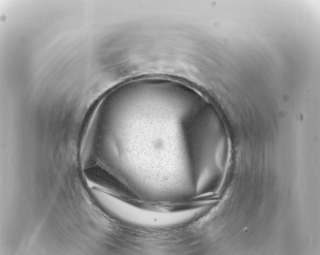 X0000088891505200706221827