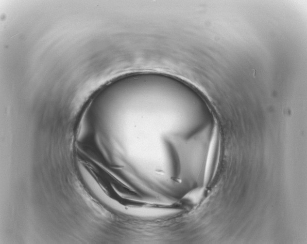 X0000088891507200706221827