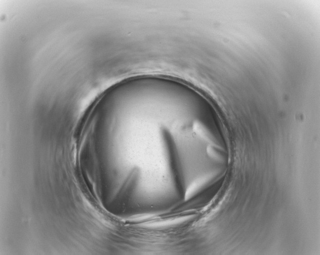 X0000088891509200706221827