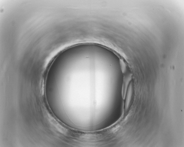 X0000088891510200706221827